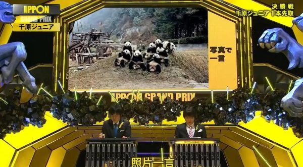 观察日本综艺中恋爱的套路和整容变化